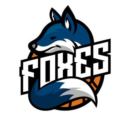 Basket Foxes Giussano